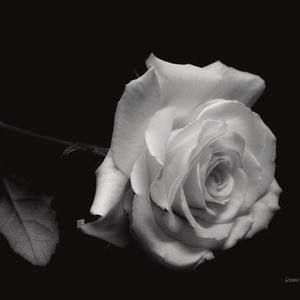 Meet your Posher, Mack